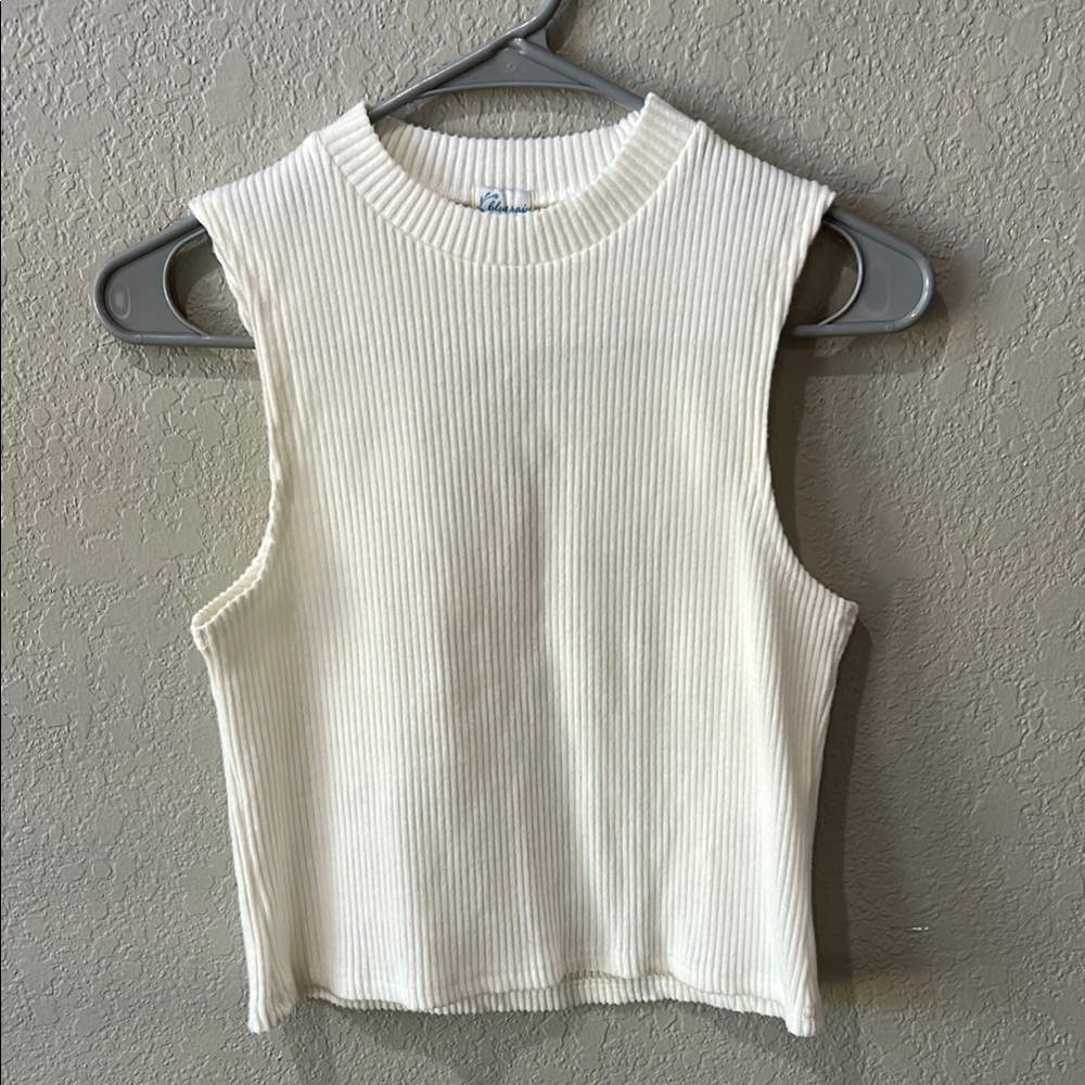 Francesca’s  sweater cropped Tank